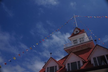 DSC08983.JPG