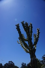 DSC09013.JPG
