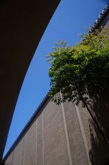 DSC09064.JPG