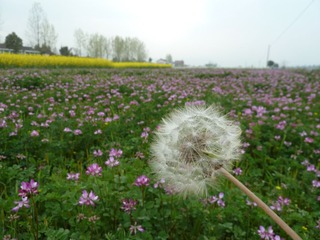 P1020483.JPG