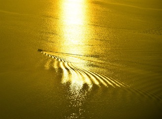 _DSC8230