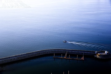 _DSC8242