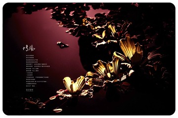 08.jpg