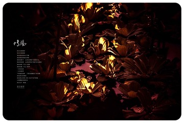 09.jpg