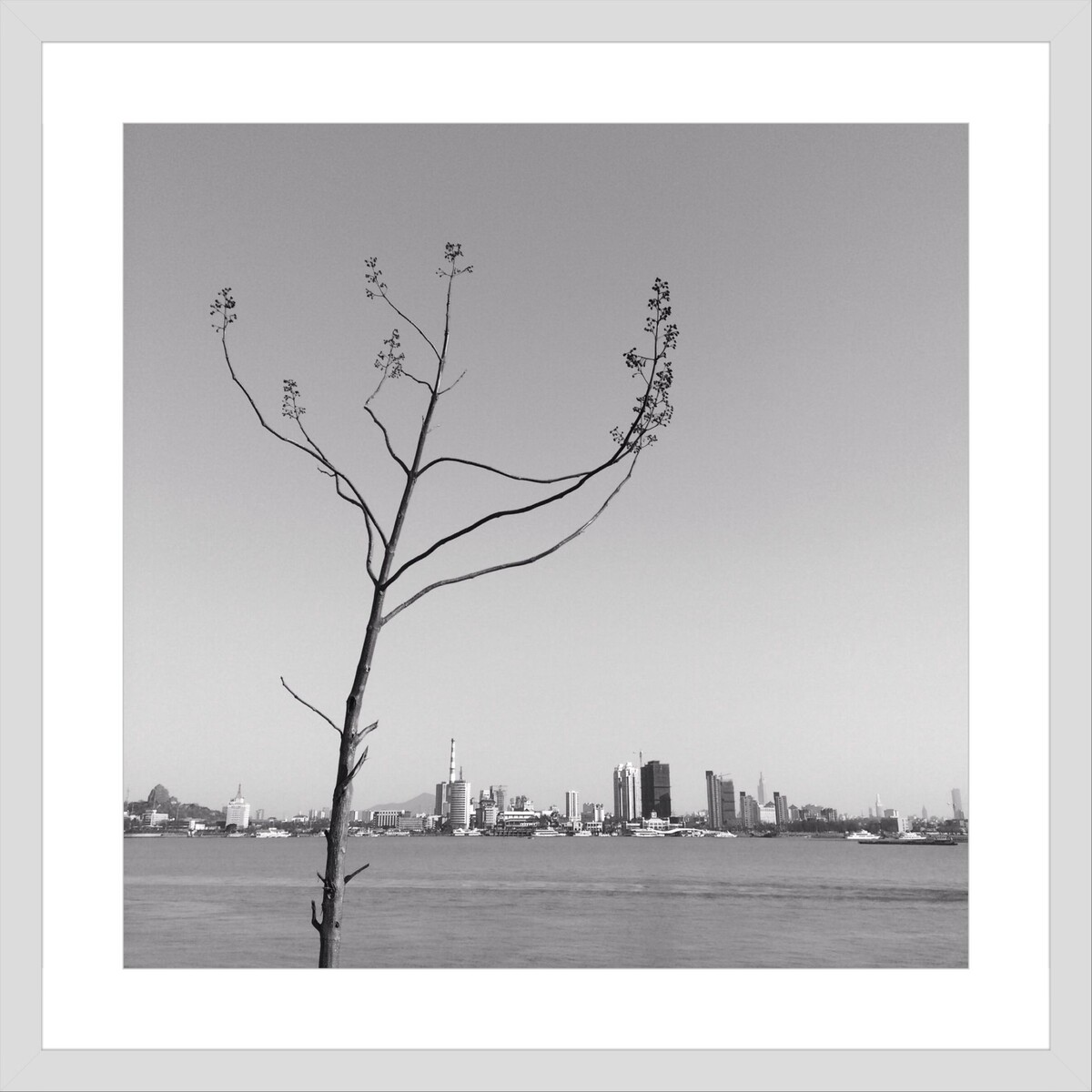 浦口