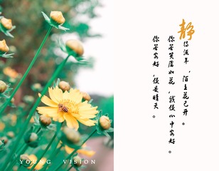 2018315