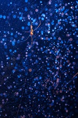 _DSC3205