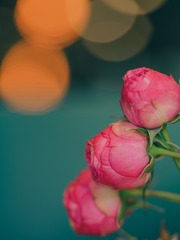 965C0300-01C3-4E72-8178-5252064B39A1/L0/001