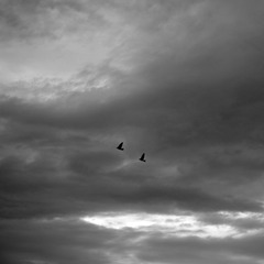 psbCAW620MY.jpg