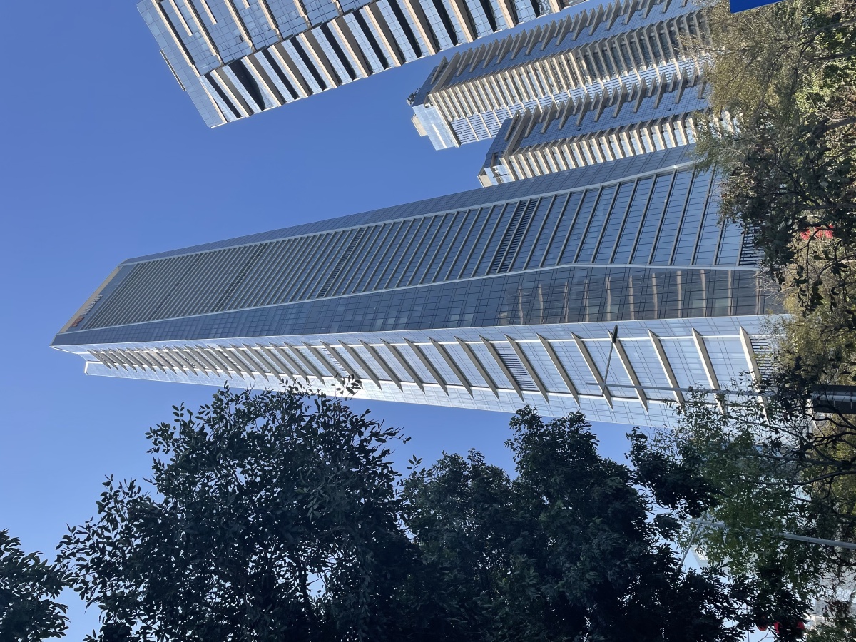 深圳湾1号
