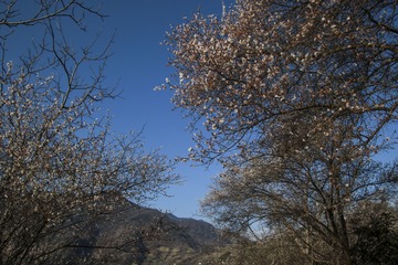 3F0A0282-1