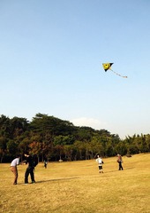 Flying dreams
