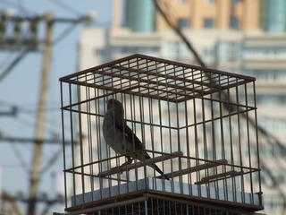 DSCF0377.JPG