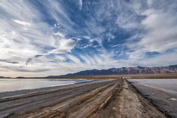 201293