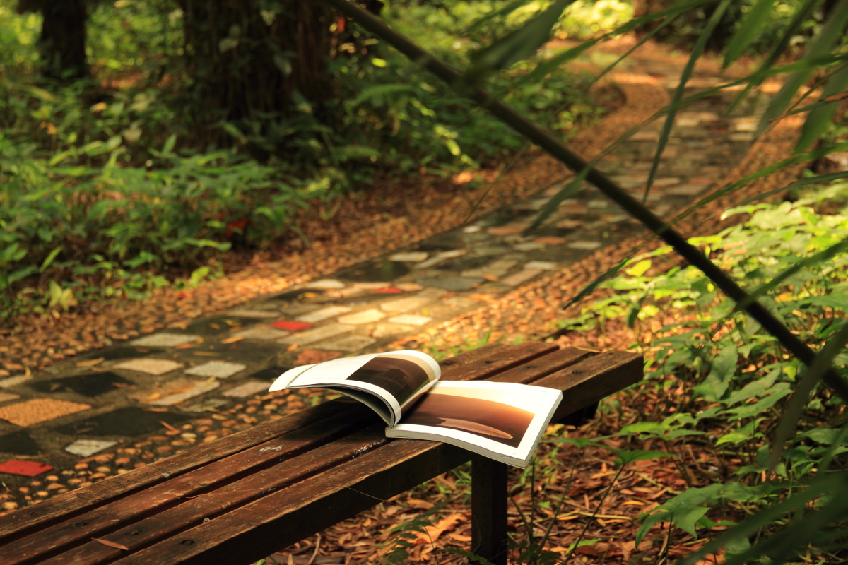 读书月静中之美