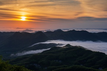 28009