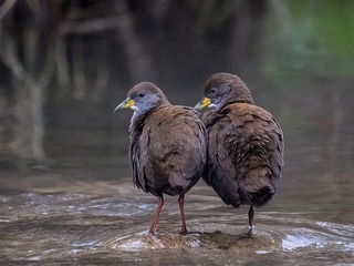 662403
