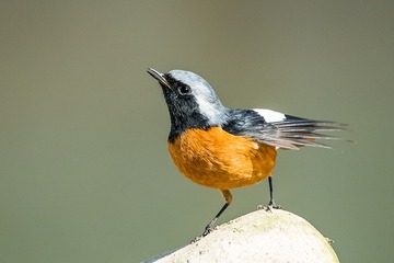925524