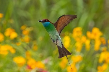 711802