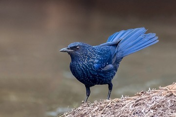 912853