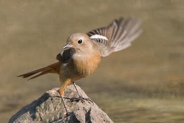 925517