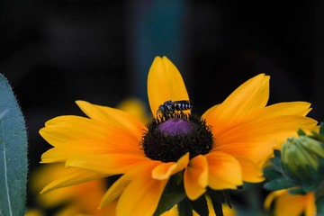 IMG_4686.jpg
