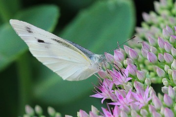 IMG_4708.jpg
