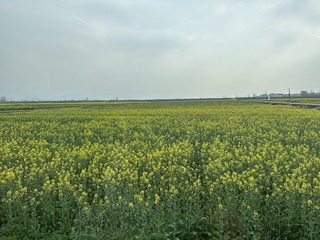 E4EB2622-5F63-4EA0-A992-C0852A40DF93/L0/001
