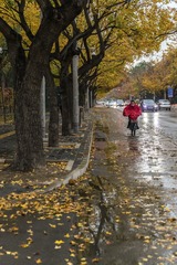 雨天骑车人