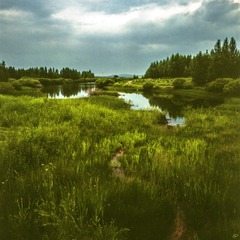 路边的风景