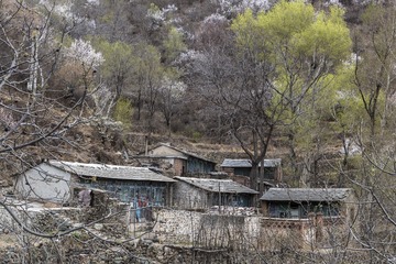 春天里的山村