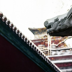 龙涎