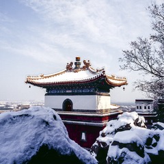 雪后