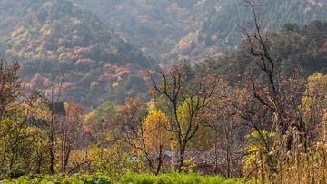 秋色山村