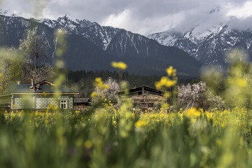 美丽乡村