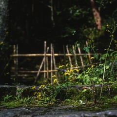 一米阳光