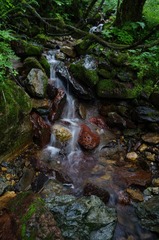 DSC00377.JPG