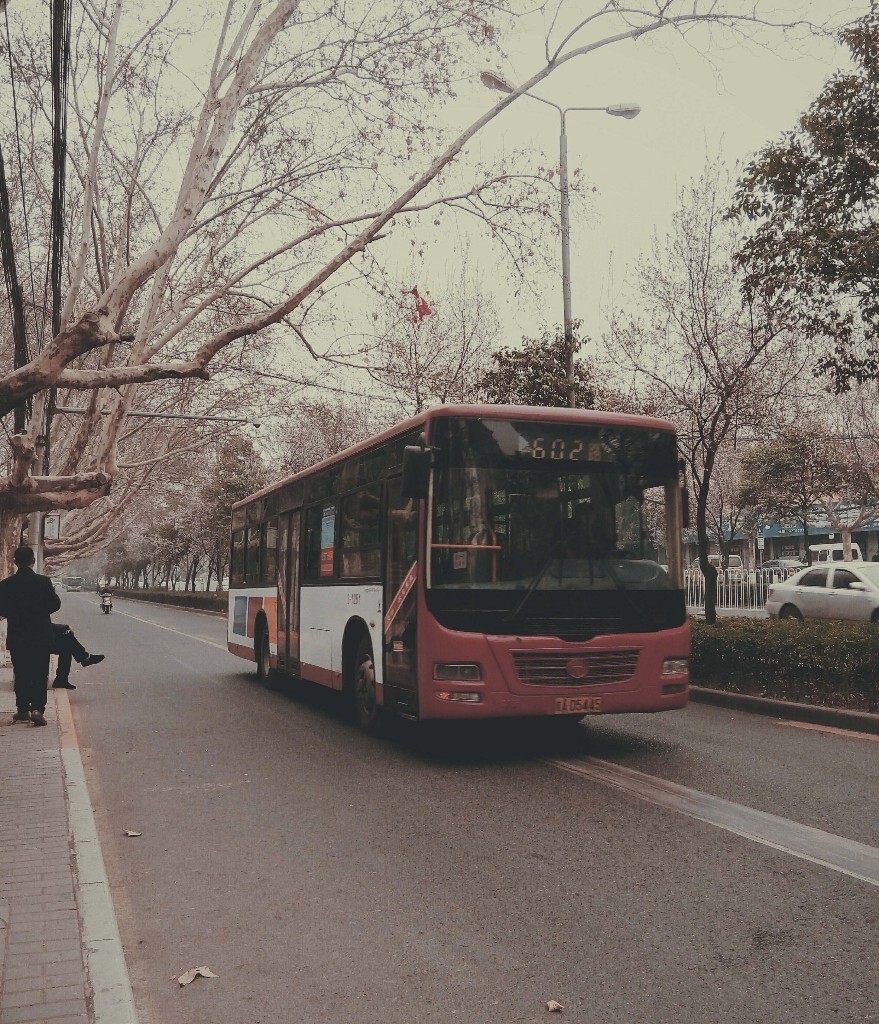 大公交
