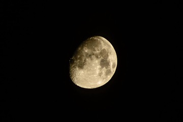 DSC_3996.jpg