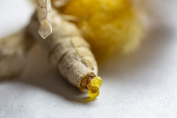 7C5A0627