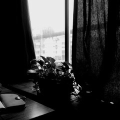 2014-04-26-11-06-51_deco