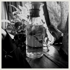 2014-04-26-11-56-20_deco