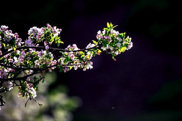 1480438