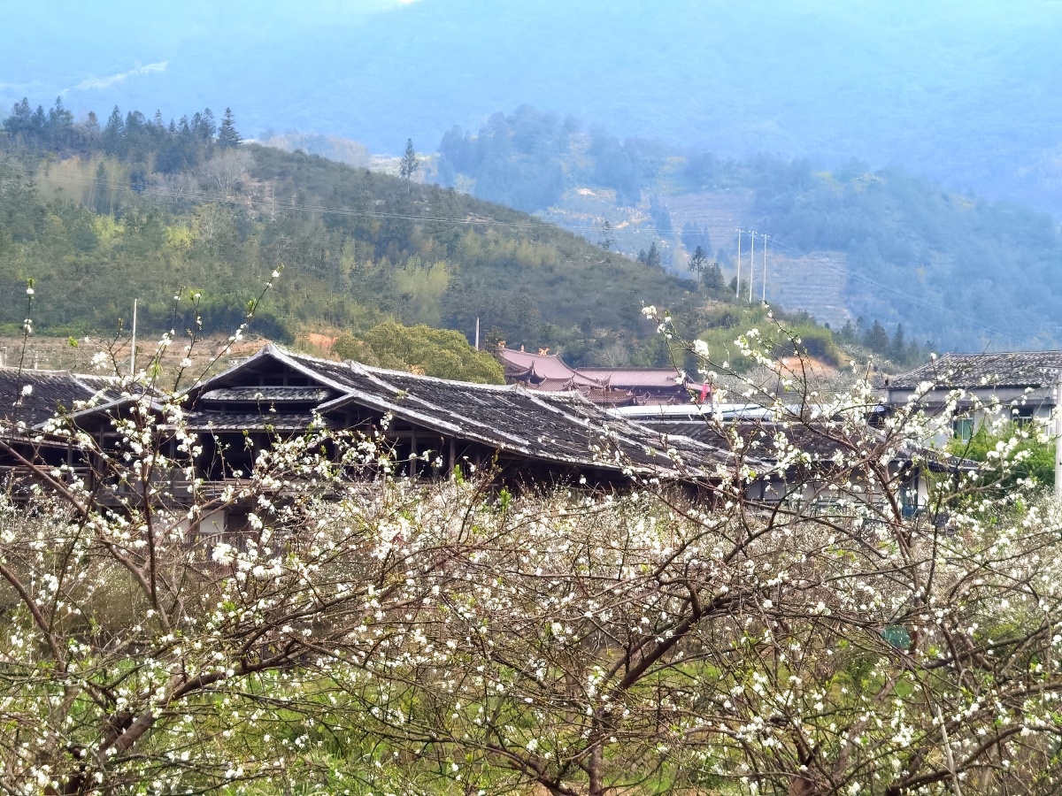 美丽乡村永泰月洲村
