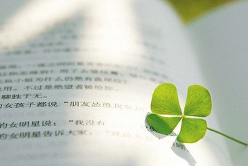 No pure lucky clover