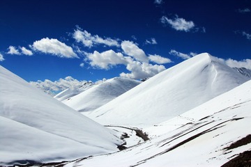 IMG_9528 (2) - 
