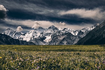 F07792DD-8A50-4A64-A4A4-13291932FB7F/L0/001