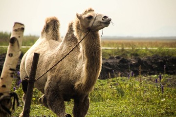IMG_1987-1