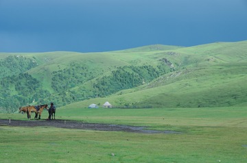20060
