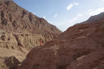 20066